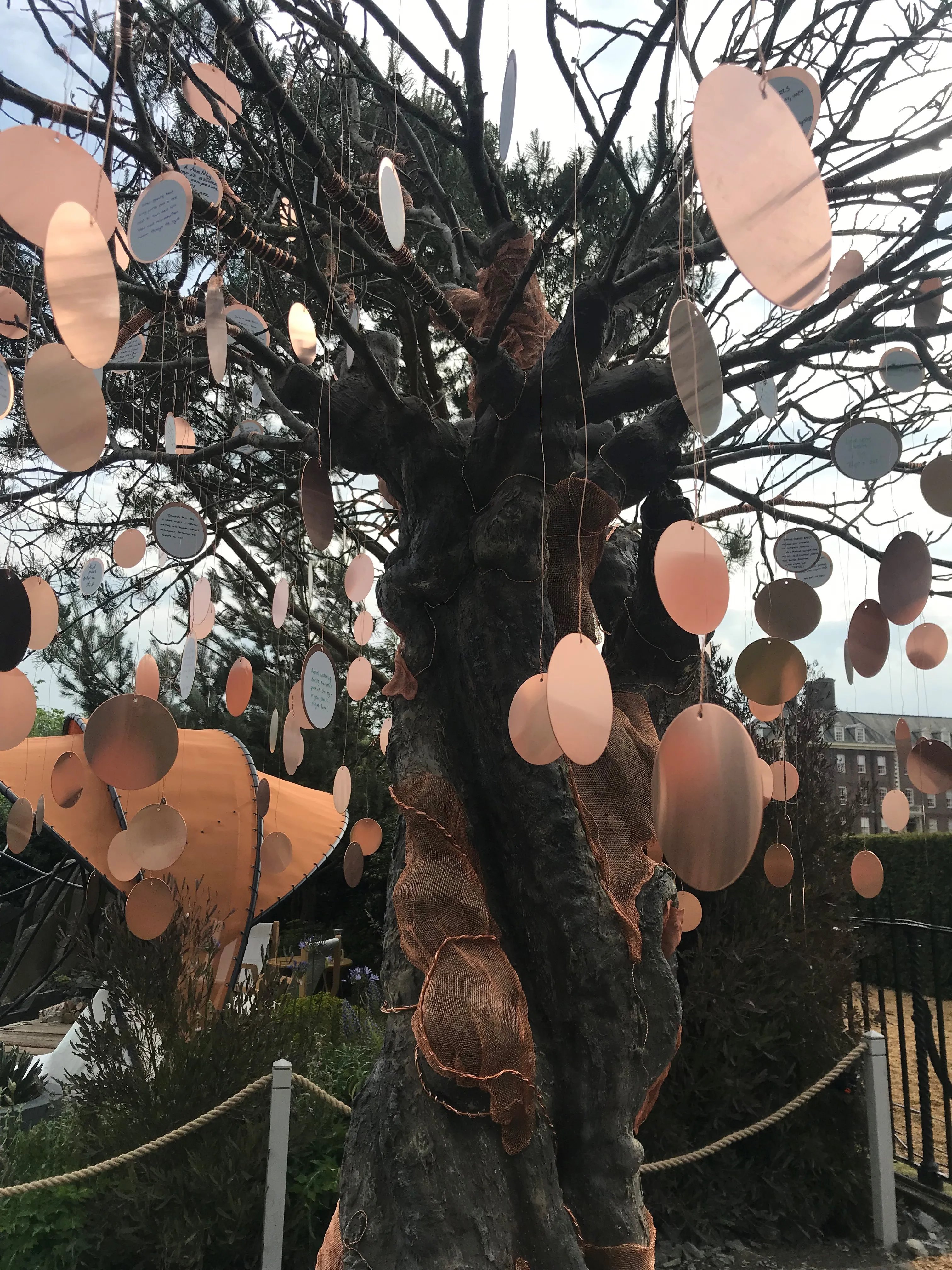 Chelsea flower show 2