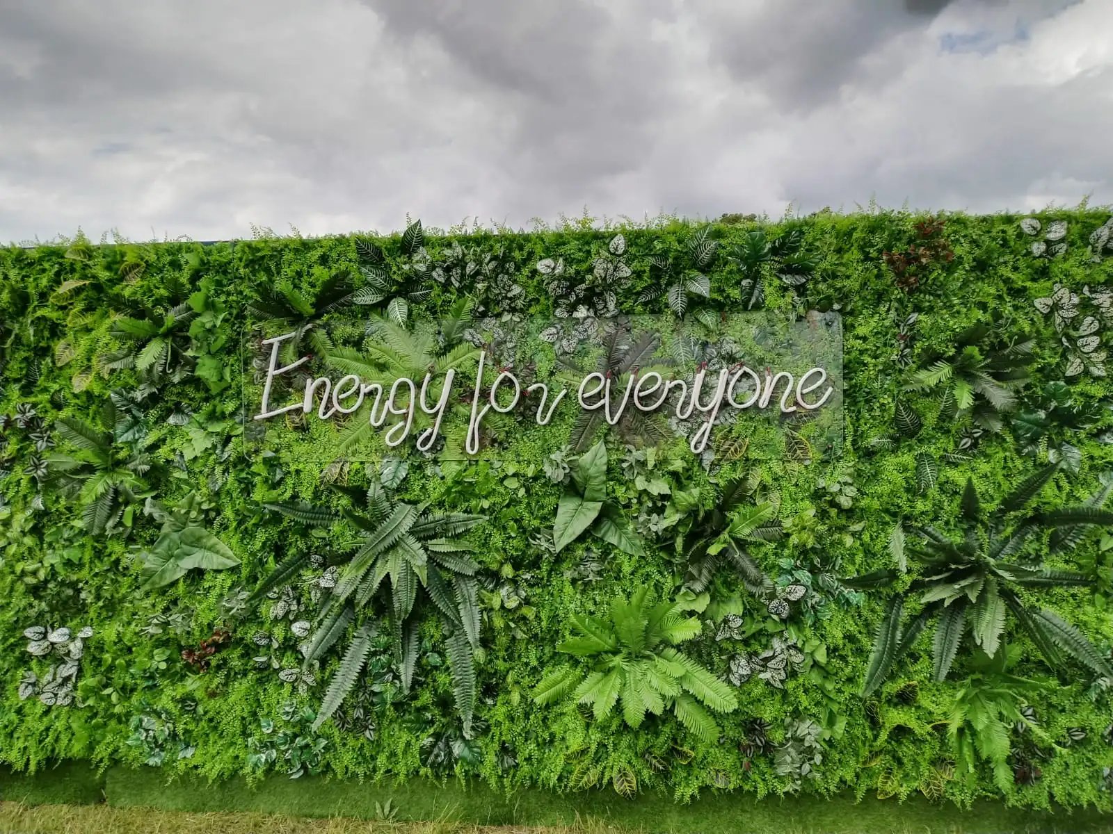 Living wall Gallery Image 1