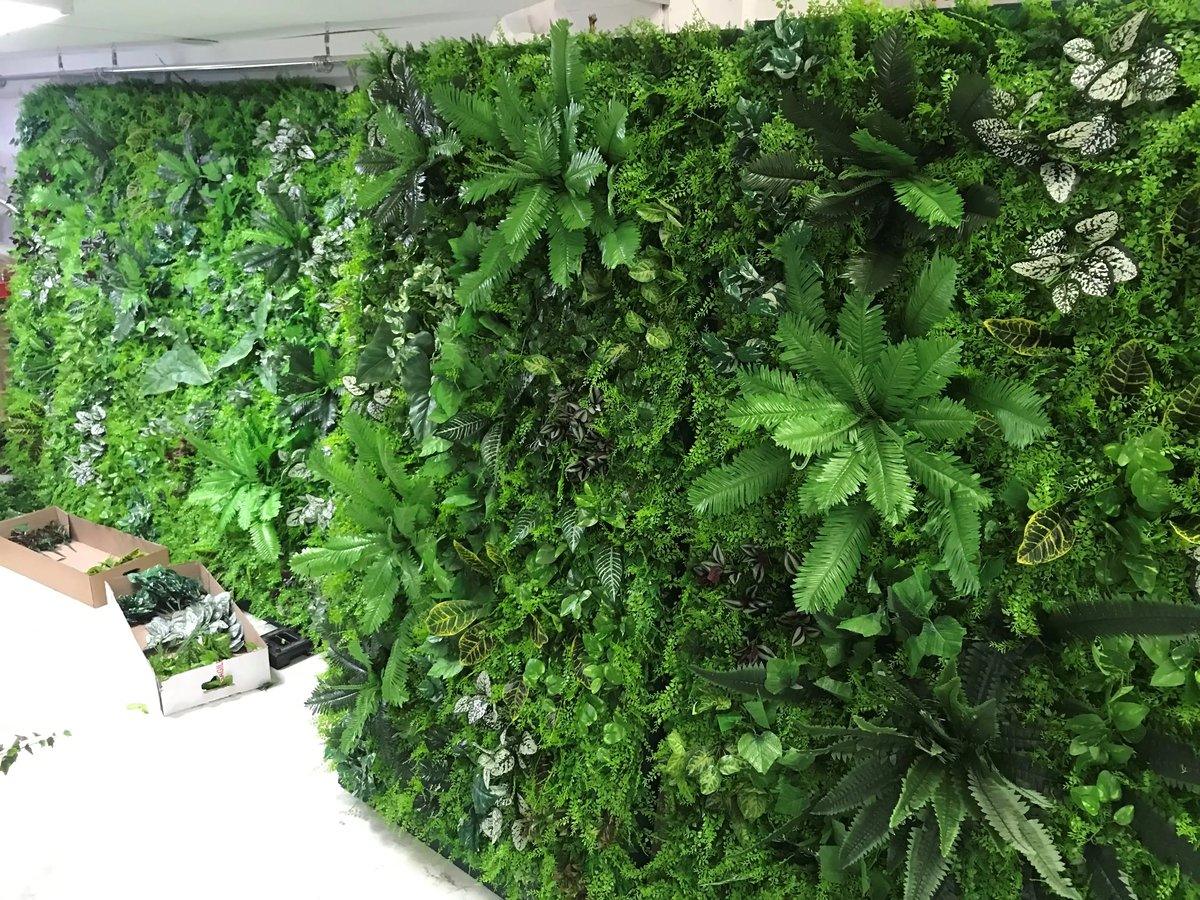 Living wall Gallery Image 2