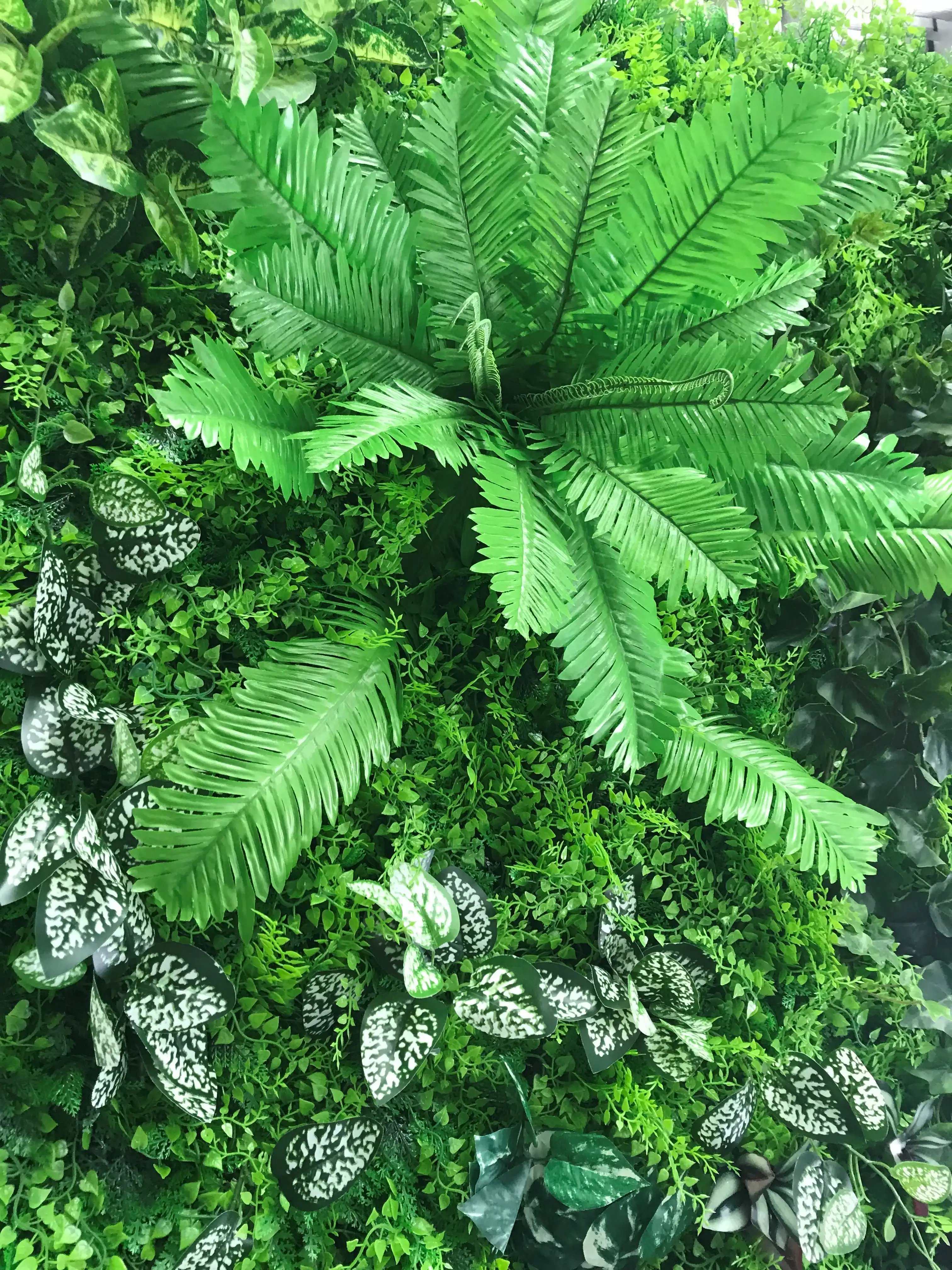 Living wall Gallery Image 3