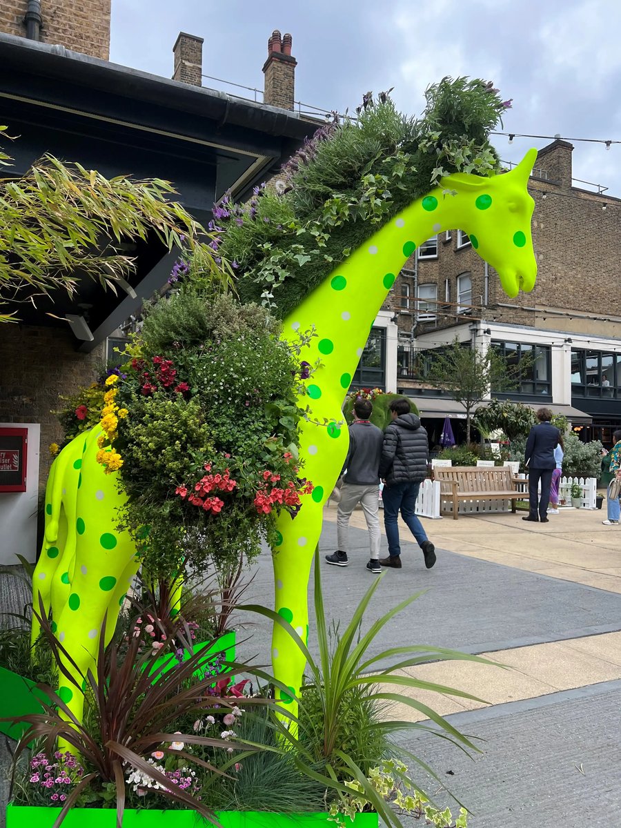 Neon gireffes Chelsea in bloom image 4