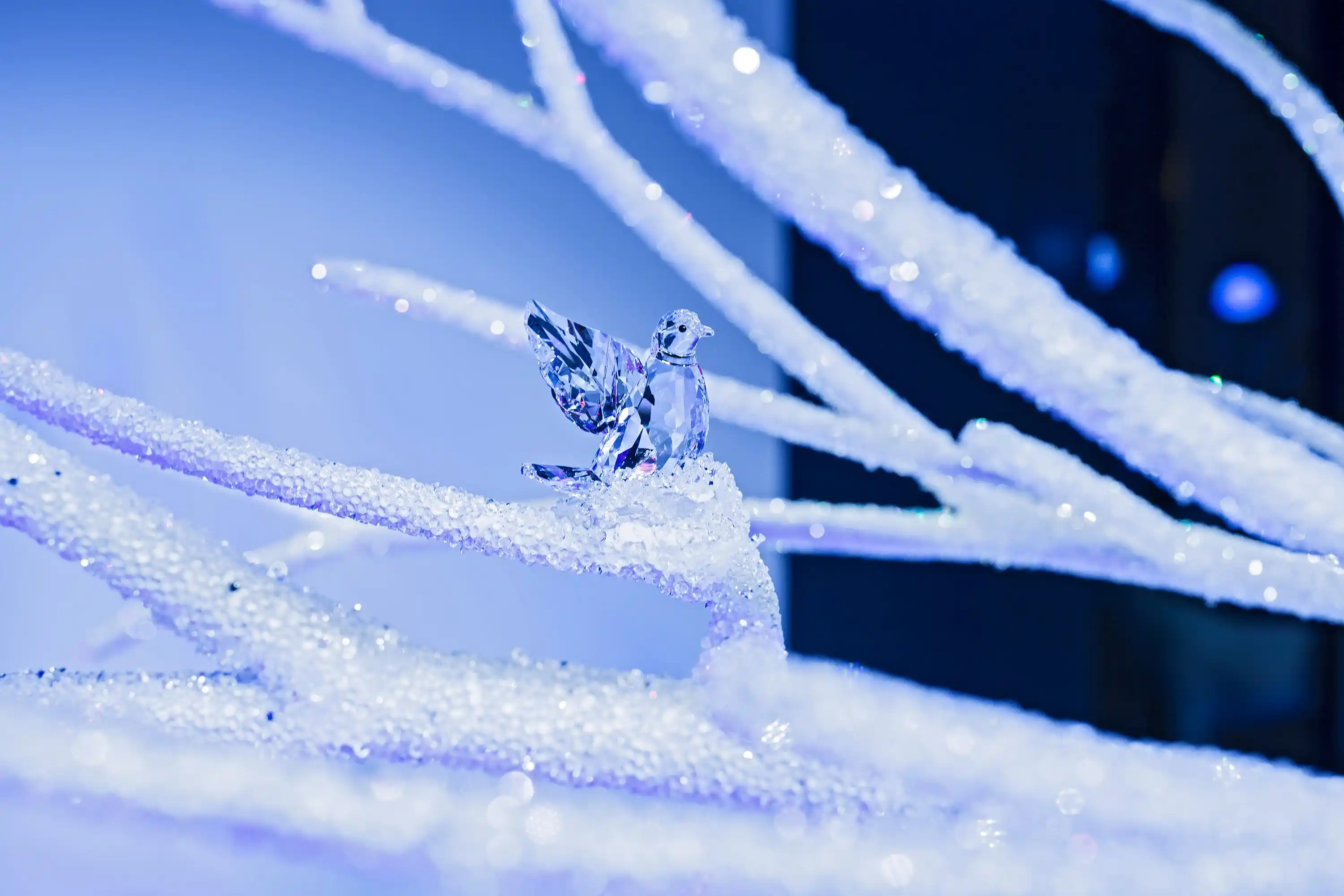 Christmas riendeer gallery image 2